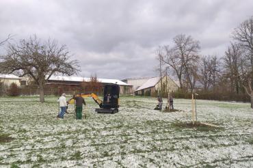 Nachpflanzungsaktion