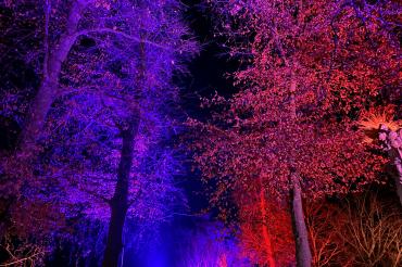 Beleuchteter Graben in Weding