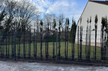 Etwa acht Meter der Hecke wurden in Mitleidenschaft gezogen.