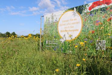 Der Bayerische Bauernverband führt sein Blühflächenpatenschaftsprojekt auch im nächsten Jahr fort.
