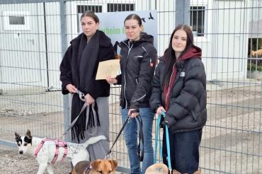 Das Tierheim Hamlar freut sich über die finanzielle Unterstützung.