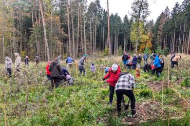 Bäume pflanzende Menschen