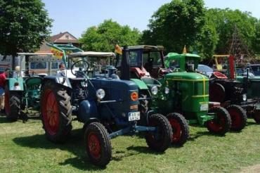 Bulldogtreffen in Wemding