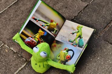 Kermit der Frosch schaut sich ein Bilderbuch an.