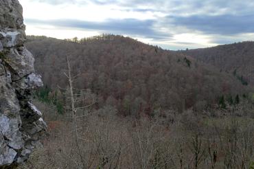 Auf dem Bild ist der Weiherberg bei Christgarten zu sehen