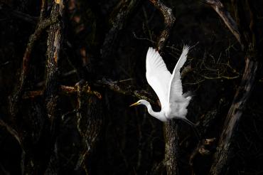 Bild des Monats März