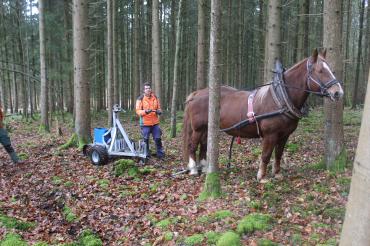 Kaltblüter Hanni und Revierleiter Korbinian Fickert testen das Verfahren.
