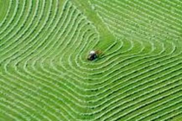 Bauernmalerei Gempfing