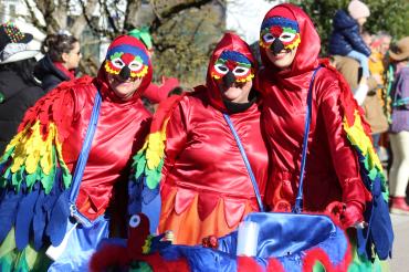 Faschingsumzug Oberndorf