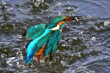 April 1. Platz Michael Walter