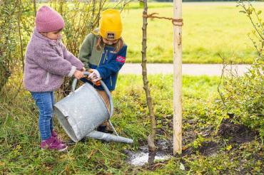 Bäume pflanzen