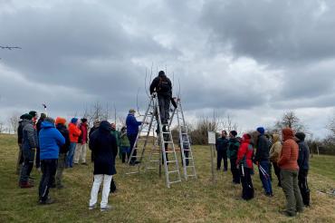 Obstbaumpfleger in Schwaben
