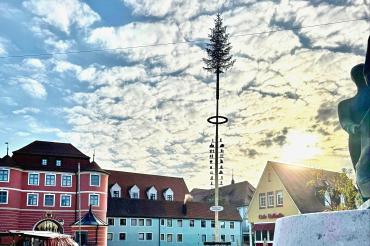 Maibaum Donauwörth