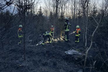 Waldbrand Monheim