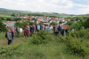 Weidelandschaften rund um Holheim