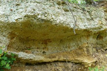 Aufschluss eines Mündungsdeltas in den Geotopen Kühstein Mönchsdeggingen.