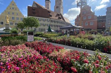 Fuchsien- und Kräutermarkt in Wemding
