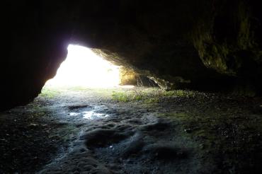 Blick aus der Ofnethöhle