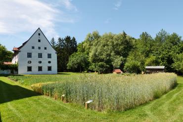 Museum KulturLand Ries Garten