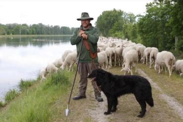 Schäfer-Oberpeiching