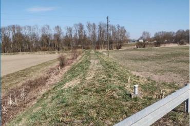 Das Foto zeigt den Teilschutzdeich und die bis zum Deichfuß angrenzenden landwirtschaftlichen Flächen.