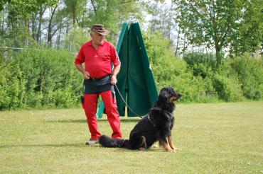 Horst Weindrich und seine Aurea sind regelmäßig auf den Trainingsplätzen anzutreffen.