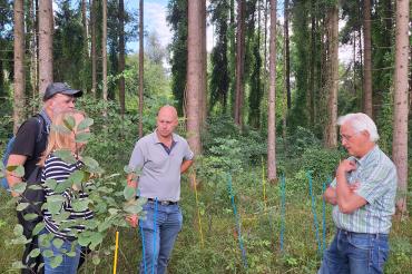 Stefan Kolonko (Förster i.R.) führt eine Delegation des Ortsverbands Bündnis 90/Die Grünen Rain und Umgebung durch unterschiedlich bewirtschaftete Bereiche des Lechauwaldes.