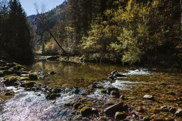 Beim Umweltpreis rückt der Bezirk Schwaben mit einer neuen Kategorie erstmals die schwäbischen Flüsse, Seen, Bäche und deren Artenvielfalt in den Mittelpunkt. 