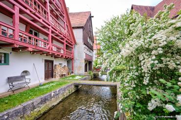 Gerbervietel Nördlingen 