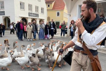 Der Künstler Pépiloué mit seiner Gänseschar beim Stadtmauerfest 2022. Auch 2025 treten die Gänse wieder auf.
