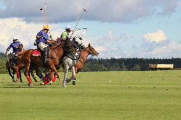 Polo Tagmersheim