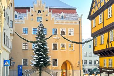 Christbäume Rathaus
