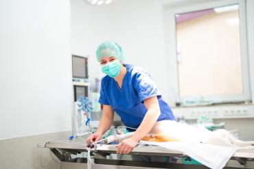 Die Tierklinik Dinkelsbühl.