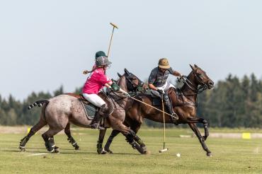 In Tagmersheim wird mittlerweile seit 2012 aktiv Polo gespielt.