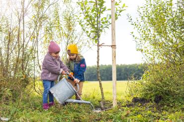 Mit einer neuen Initiative will der Landkreis Donau-Ries das Thema Nachhaltigkeit stärken.