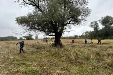 Voller Einsatz für das Naturschutzgebiet Osterried – die Donauwörther Lions engagieren sich hier seit mehr als drei Jahrzehnten.