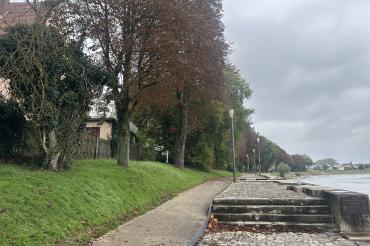 Der schmale Weg am Alten Donauhafen ist derzeit lediglich als Fußweg ausgeschildert und endet auf Höhe der Agentur für Arbeit. 