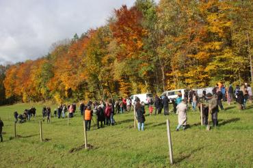 Familienwald in Wemding. 