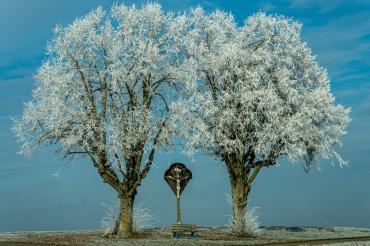 Foto des Monats Dezember 2025 der Fotofreunde Harburg „Ruhepol“ von Rudolf Schwarz aus Bissingen.