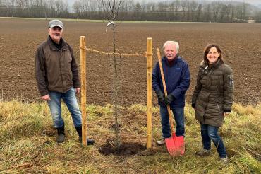 Das Bild zeigt von links nach rechts: Wilhelm Faul (Vorsitzender des OGV Harburg), Altbürgermeister Anton Fischer, Stadträtin und Umweltreferentin Martina Thiel.