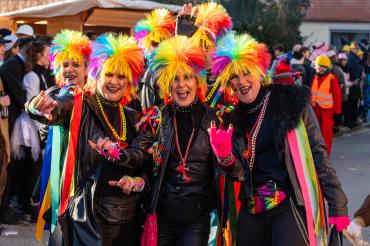 Faschingsumzug Megesheim 2026