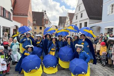 Faschingsumzug Wemding 2026