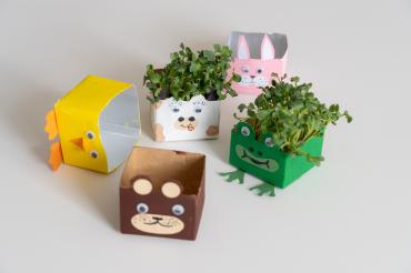 Eine Pflanze beim Wachsen zu beobachten, ist etwas Besonderes. Der Pflanze, die im Kurs ausgesät wird, kannst man sogar essen.