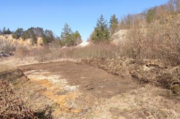 Neue Lebensräume für Wildbienen und Amphibien in Nördlingen geschaffen.