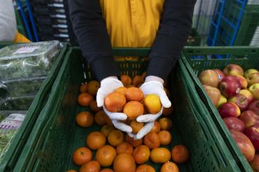 Gespendete Lebensmittel