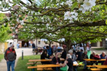 Blick in den Museumshof.