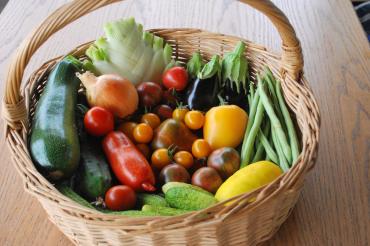 Jungpflanzenmarkt der Alten Gärtnerei e.V.