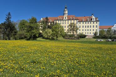 Donauwörth Open-Air im Sommer findet auf der Heilig-Kreuz-Wiese auch ein Open-Air Kino statt