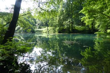  Der Wemdinger Doosweiher ist eines der Highlights am Sagenweg