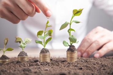 Symbolbild Geldanlage/wachsendes Geld